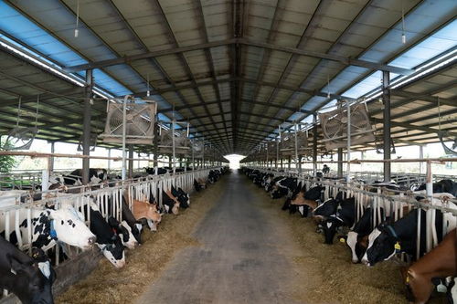 借創建國家食品安全示范城市東風 助菏澤食品產業轉型升級 食用農產品批發