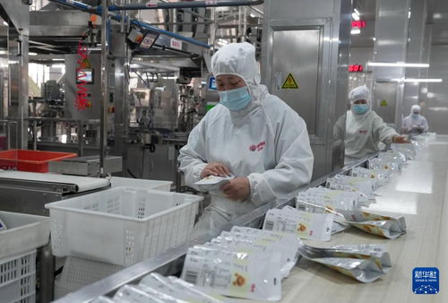 雙城記 河北遵化深加工賦能鄉村，上海軟件驅動產業升級