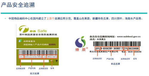 順德區舉辦GS1標準主題講座，以“碼”賦能助推企業高質量發展