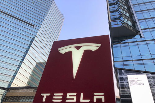 晚報 羅永浩劍指帶貨一哥，蘋果上架2018款官翻機，上海軟件開發新風向