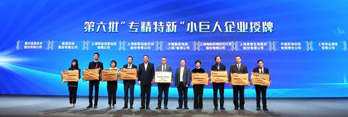 中建集團新添4家國家級專精特新“小巨人”企業 上海軟件開發領域的創新突破